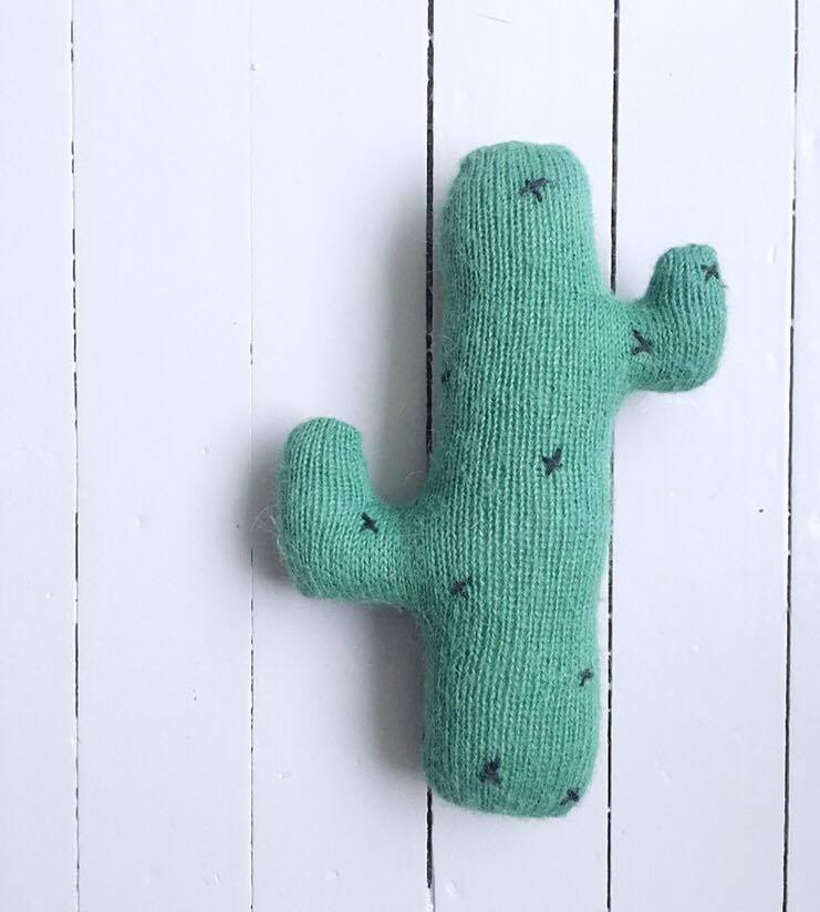 DIYknitting, cactus