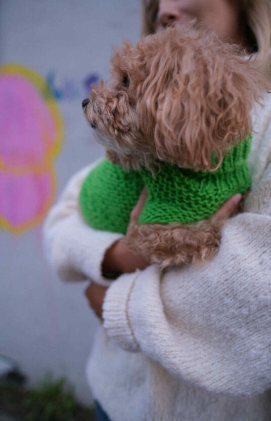 strikkegenser til huns oppskrift på strikk til hund. ullgenser hund strikket
