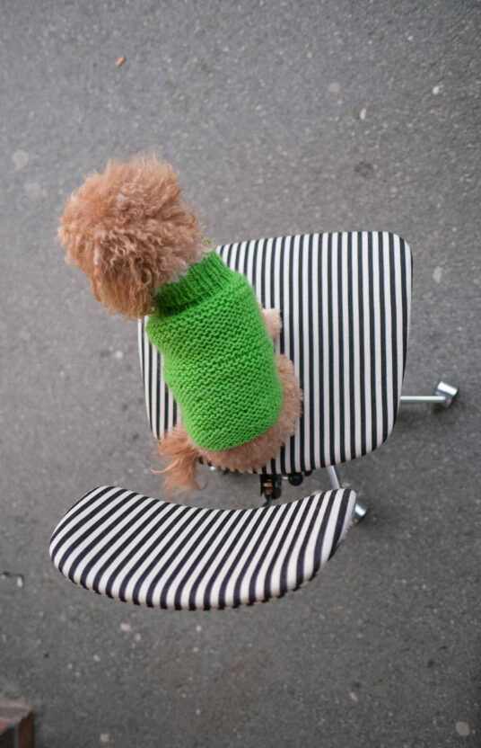 strikkegenser til hund oppskrift på strikk til hund. ullgenser hund strikket