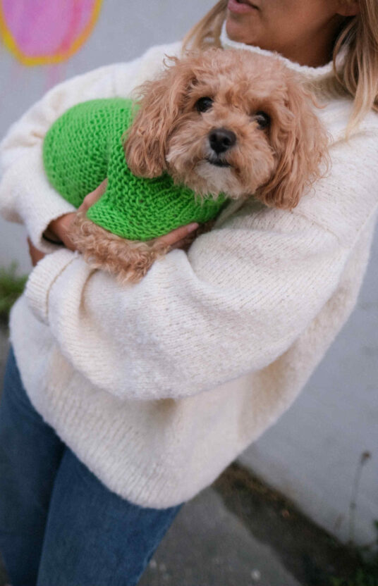 strikkegenser til huns oppskrift på strikk til hund. ullgenser hund strikket