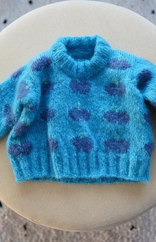 fruity sweater knitting patterns