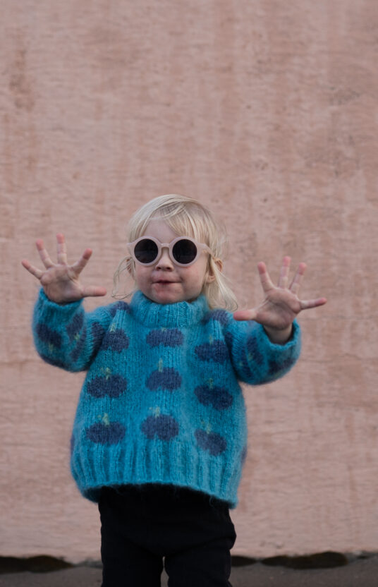 Fruity sweater blueberries