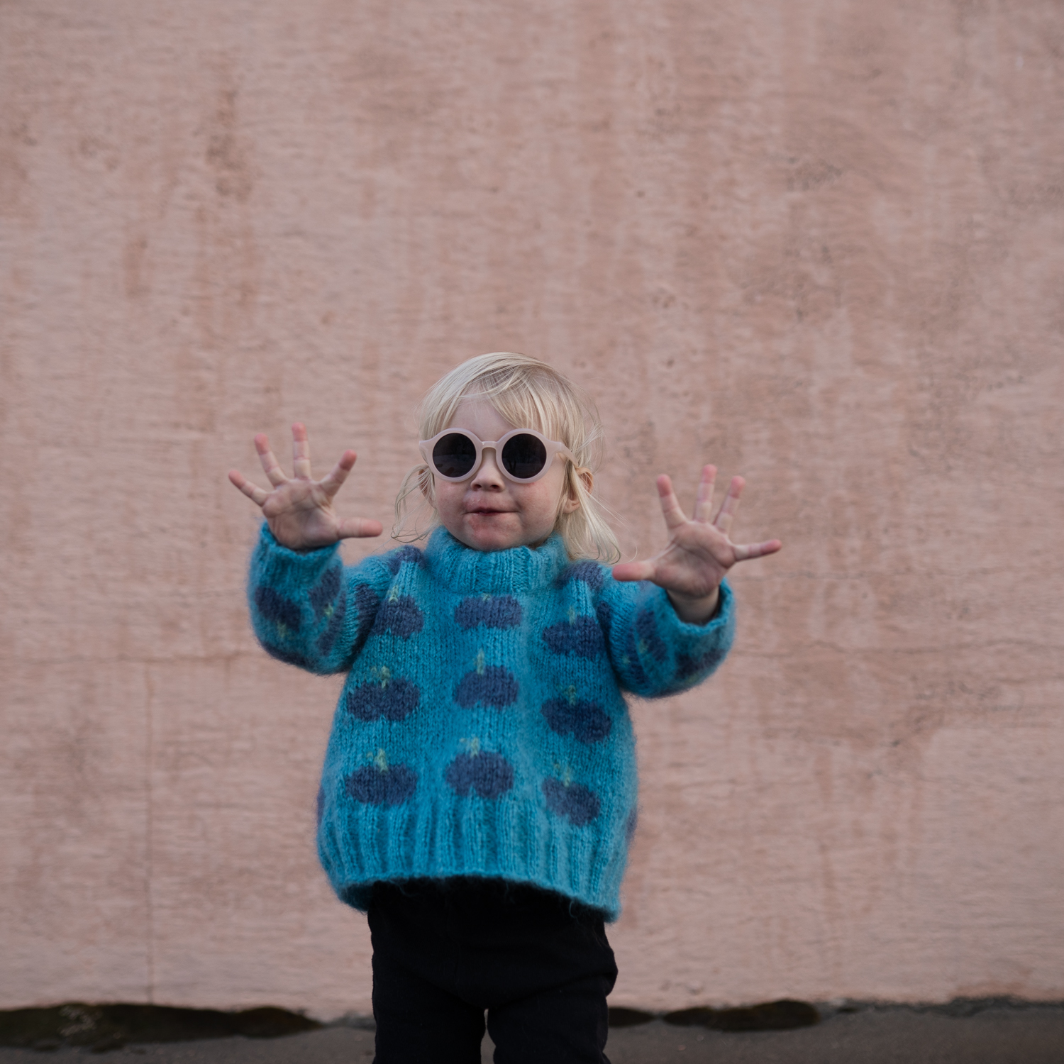 Fruity sweater blueberries