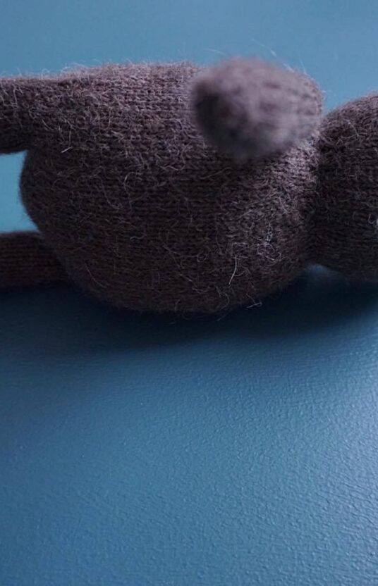 22449477_10159420485380111_1363823601_o