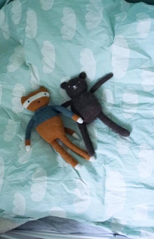 22450390_10159420485400111_898092210_o