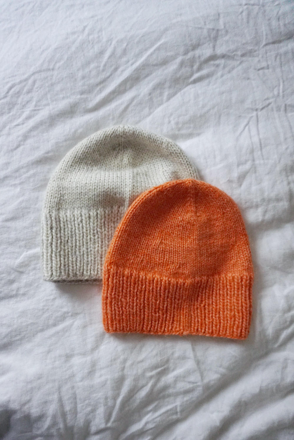 73314403_560190038051147_3431475043241033728_n