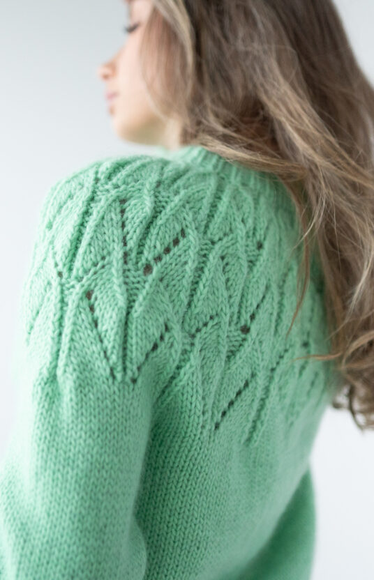 mønsterstrikk oppskrift dame