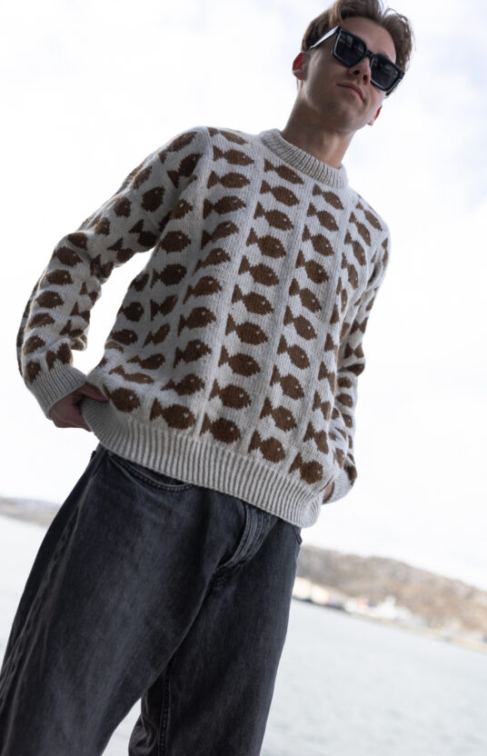 Fishy sweater herre