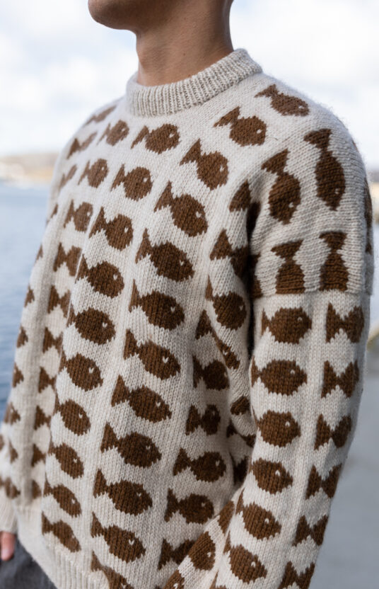 Fishy sweater herre-21
