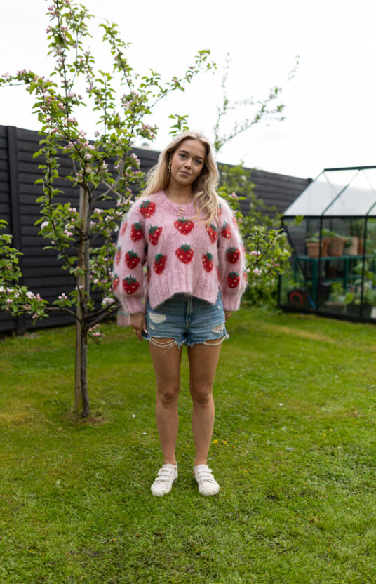 Fruity Genser Strawberry-3