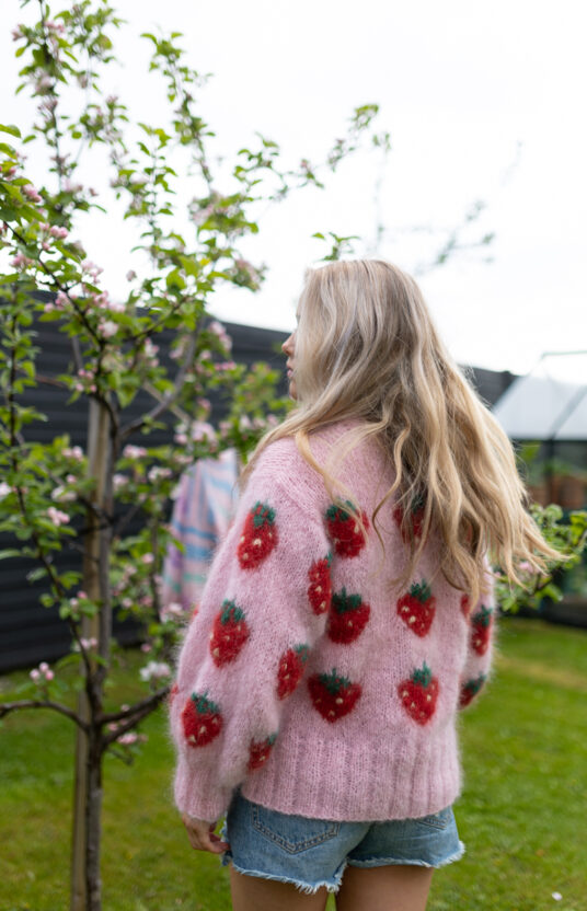 Fruity Genser Strawberry-9