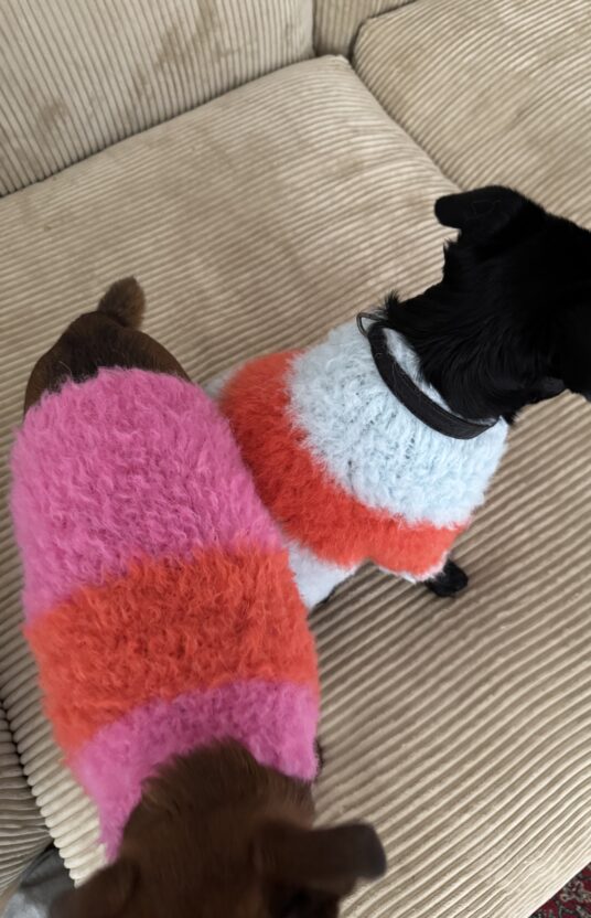 strikkegenser til hund i mange størrelser. Strikkeoppskrift hund kjæledyr hundegenser strikket oppskrift og garn. Vintergenser hund