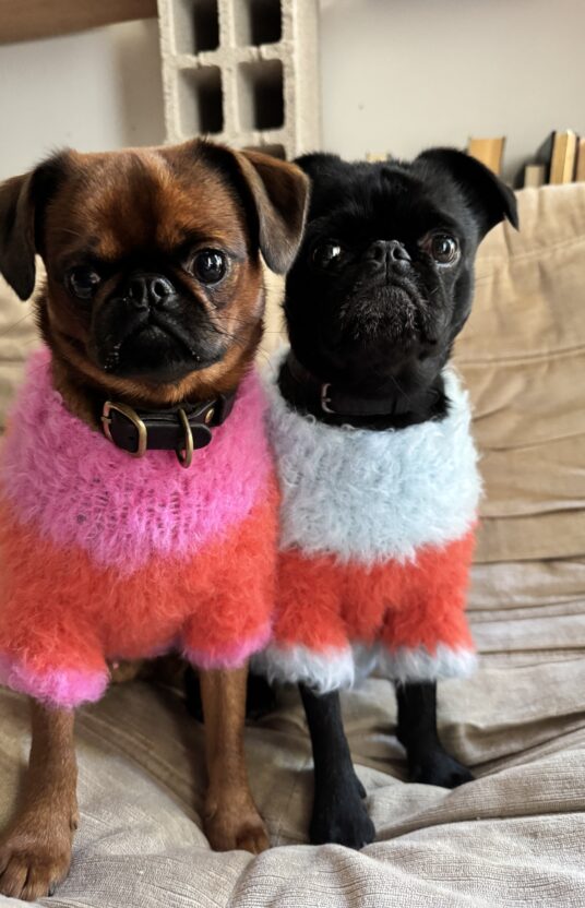 knitted dog sweater pattern. knittingpattern for pets dogs sweater dog and cat