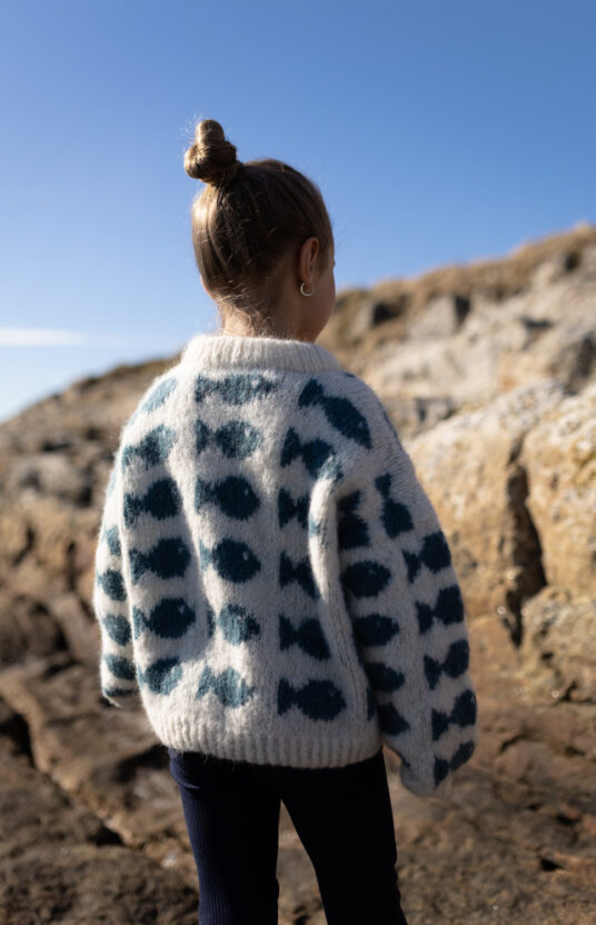 strikkeoppskrift genser barn fishy. strikkegenser med fisker. fisker genser barn børstet alpakka