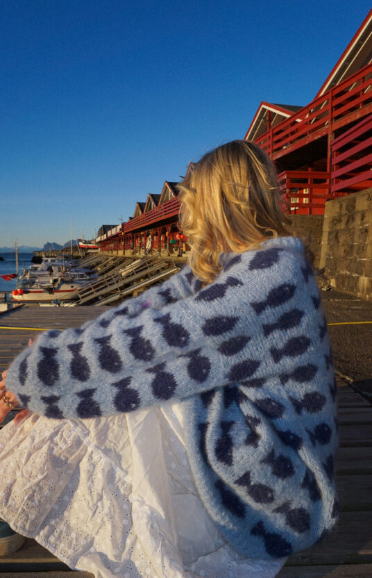 Knitting pattern summer sweater fluffy fishy sweater colorful and fluffy knit sweater for women and men knitting pattern mohair sweater
