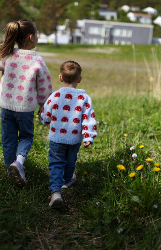 Knitting pattern for a mushroom sweater. Sweater for girl and boy with mushrooms. Easy knitting pattern for children using brushed alpaca. Knitted sweater with mushroom pattern and yarn. Kids' mushroom sweater knitting pattern.