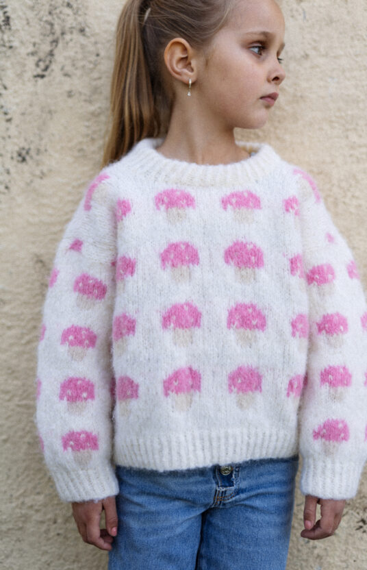 Knitting pattern for a mushroom sweater. Sweater for girl and boy with mushrooms. Easy knitting pattern for children using brushed alpaca. Knitted sweater with mushroom pattern and yarn. Kids' mushroom sweater knitting pattern.