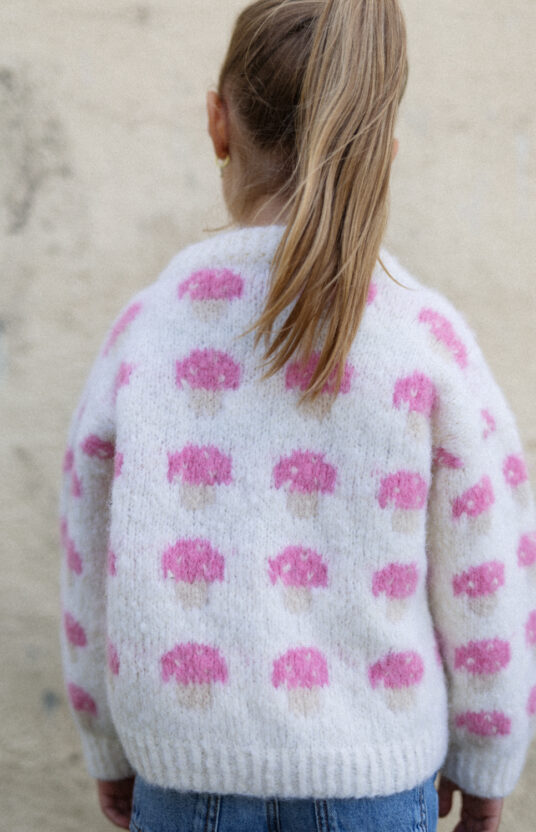 Knitting pattern for a mushroom sweater. Sweater for girl and boy with mushrooms. Easy knitting pattern for children using brushed alpaca. Knitted sweater with mushroom pattern and yarn. Kids' mushroom sweater knitting pattern.