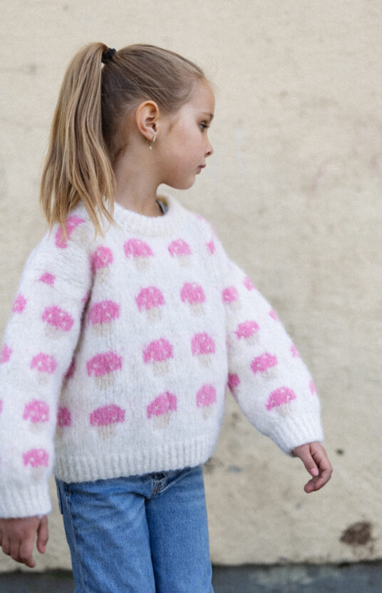 Knitting pattern for a mushroom sweater. Sweater for girl and boy with mushrooms. Easy knitting pattern for children using brushed alpaca. Knitted sweater with mushroom pattern and yarn. Kids' mushroom sweater knitting pattern.