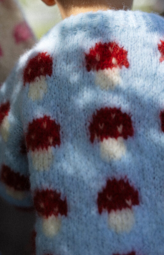 Knitting pattern for a mushroom sweater. Sweater for girl and boy with mushrooms. Easy knitting pattern for children using brushed alpaca. Knitted sweater with mushroom pattern and yarn. Kids' mushroom sweater knitting pattern.